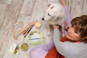 lodi-ceramica-artigianale-decorarte-veronica-biffi-ingresso-cani
